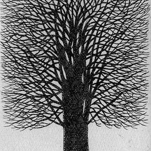 一本の樹/ 銅版画（作品のみ） 版画 Atelie Gray 通販 10278073