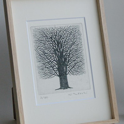 一本の樹/ 銅版画（額あり） 2枚目の画像