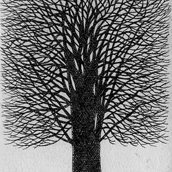 一本の樹/ 銅版画（額あり） 4枚目の画像