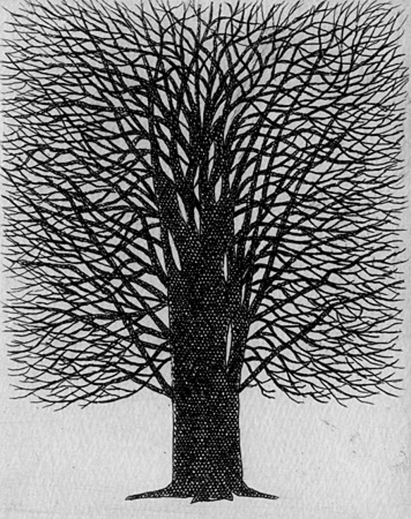 一本の樹/ 銅版画（額あり） 4枚目の画像