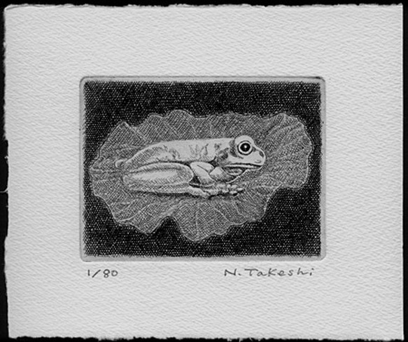 蓮の上の蛙/銅版画 (作品のみ） 1枚目の画像