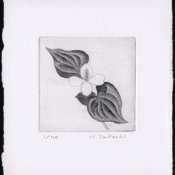 どくだみの白い花・2021/銅版画(作品のみ） 1枚目の画像