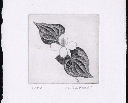 どくだみの白い花・2021/銅版画(作品のみ） 版画 Atelie Gray 通販