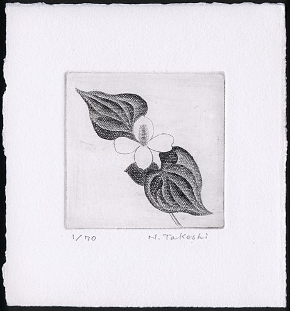 どくだみの白い花・2021/銅版画(作品のみ） 版画 Atelie Gray 通販