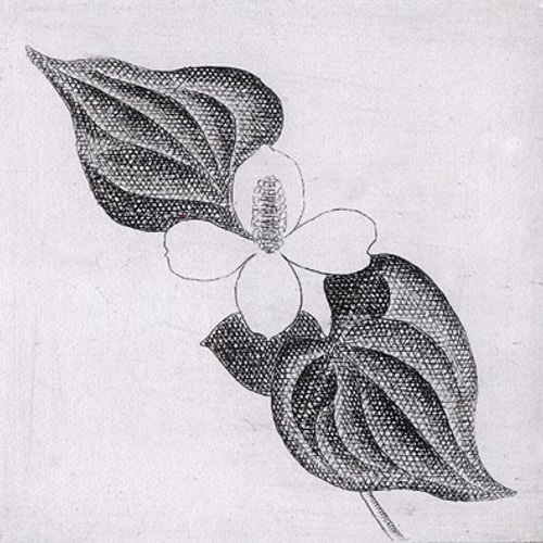 どくだみの白い花・2021/銅版画(作品のみ） 版画 Atelie Gray 通販