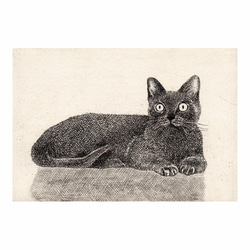 くつろぐ猫 / 銅版画 (作品のみ） 2枚目の画像