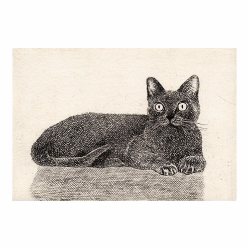 額付き銅版画応用絵画　title「ひらめき猫」アップグレード 額付き銅版画応用絵画 title「ひらめき猫」アップグレード 絵画