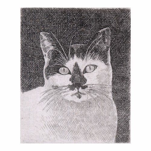 黒い鼻の猫 / 銅版画 (作品のみ） 版画 Atelie Gray 通販 1339799