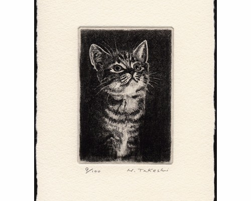 見上げる子猫 ・A / 銅版画 (作品のみ） 版画 Atelie Gray 通販