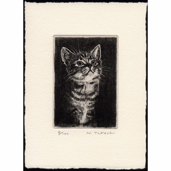 希少！チャールズ・リン・ブラッグ 猫の銅版画 2枚セット 美品 1_f0f20c295a32f8e5ed459c8a7a2e