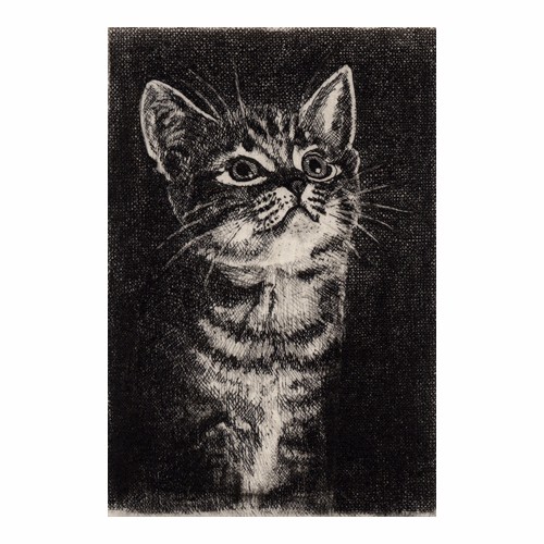 見上げる子猫 ・A / 銅版画 (作品のみ） 版画 Atelie Gray 通販