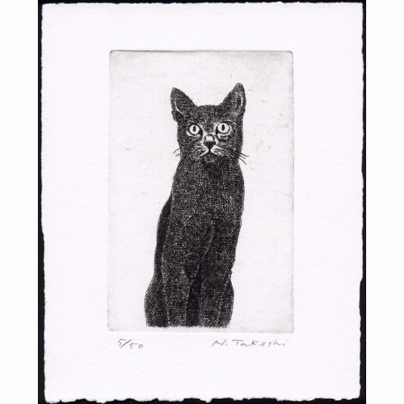 黒い猫・2009 / 銅版画 (作品のみ） 1枚目の画像