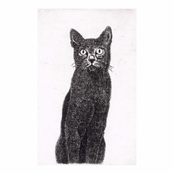 黒い猫・2009 / 銅版画 (作品のみ） 2枚目の画像
