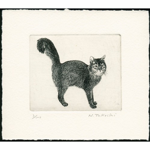 シッポの大きな猫 / 銅版画 (作品のみ） 版画 Atelie Gray 通販