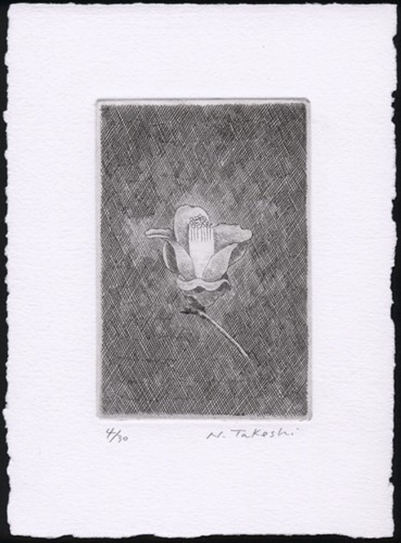 椿・2011A / 銅版画 (額なし） 1枚目の画像