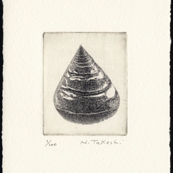 貝殻・E / 銅版画 (作品のみ） 1枚目の画像