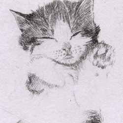 招き猫 ・A/銅版画 (額あり） 3枚目の画像