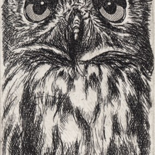 ふくろう ・蔵書票 / 銅版画 (作品のみ） 版画 Atelie Gray 通販