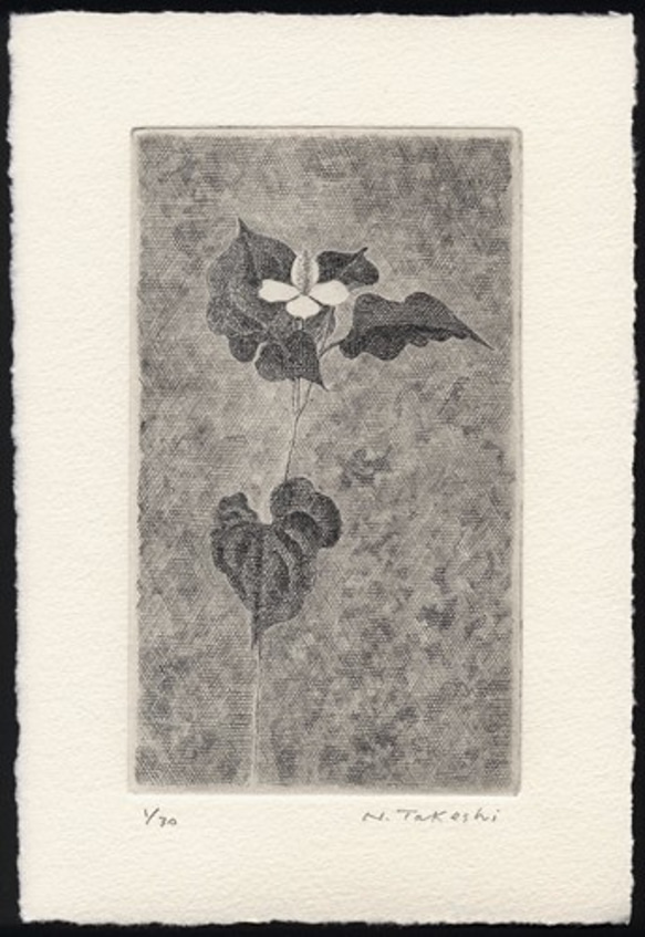 どくだみ・2013B / 銅版画 (作品のみ） 版画 Atelie Gray 通販