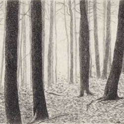 落ち葉の雑木林 / 銅版画 (作品のみ） 2枚目の画像