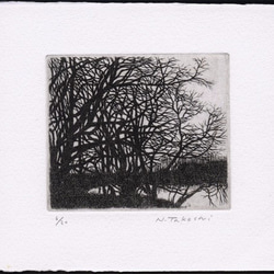 冬の樹 / 銅版画 (作品のみ） 1枚目の画像