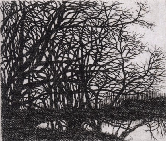 冬の樹 / 銅版画 (作品のみ） 2枚目の画像