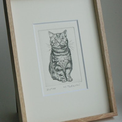 前向きな猫 / 銅版画 (額あり） 2枚目の画像