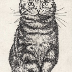 前向きな猫 / 銅版画 (額あり） 4枚目の画像