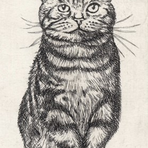 前向きな猫 / 銅版画 (額あり) 版画 Atelie Gray 通販 3556101 前向きな猫 / 銅版画 (額あり) 版画 Atelie Gray 通販 3556101