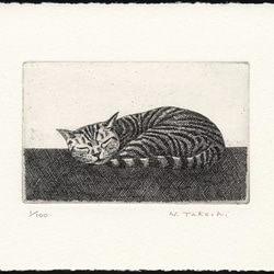 お昼寝の猫 / 銅版画 (額あり） 3枚目の画像