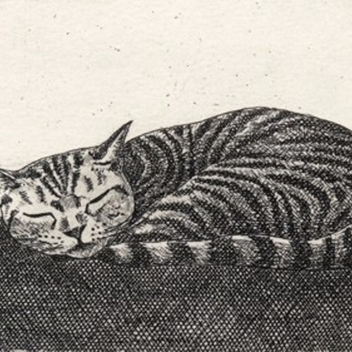 お昼寝の猫 / 銅版画 (額あり） 版画 Atelie Gray 通販 3649488