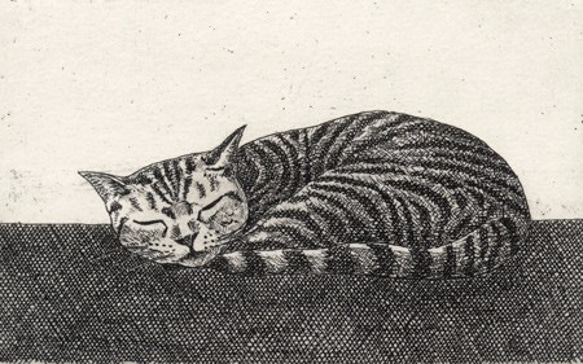 お昼寝の猫 / 銅版画 (額あり） 4枚目の画像