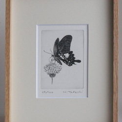 きのこと林檎の儀式　　　高見沢耳のジクレー版画作品　一点物の版画作品です 始まりの時代 高見沢耳のジクレー版画作品 一点物の版画作品です