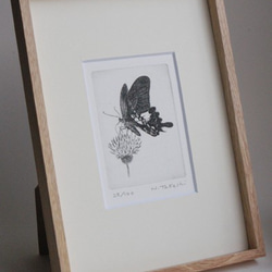 蝶とアザミ / 銅版画 (額あり） 2枚目の画像