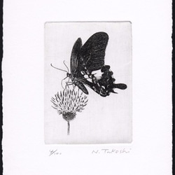 蝶とアザミ / 銅版画 (額あり） 3枚目の画像