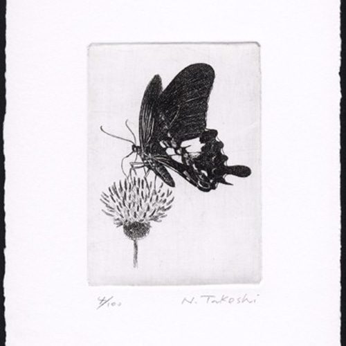 蝶とアザミ / 銅版画 (額あり） 版画 Atelie Gray 通販 4639260