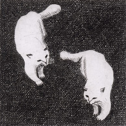二匹の白い猫 / 銅版画 (額あり） 4枚目の画像