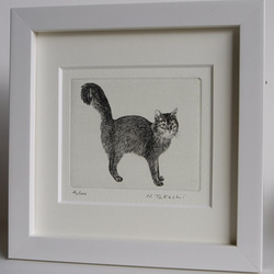 シッポの大きな猫 / 銅版画 (額あり） 2枚目の画像