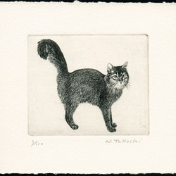 シッポの大きな猫 / 銅版画 (額あり） 3枚目の画像
