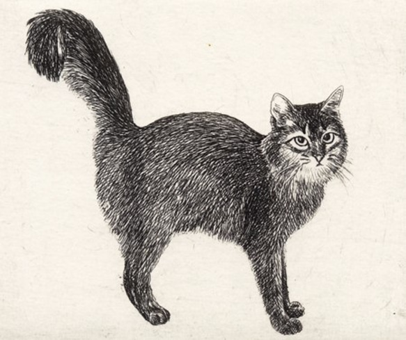 シッポの大きな猫 / 銅版画 (額あり） 4枚目の画像