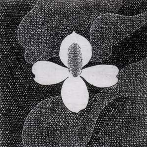 白い花・2018A/ 銅版画 (作品のみ） 版画 Atelie Gray 通販 5373979