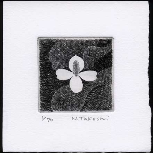 白い花・2018A/ 銅版画 (額あり） 版画 Atelie Gray 通販 5423550
