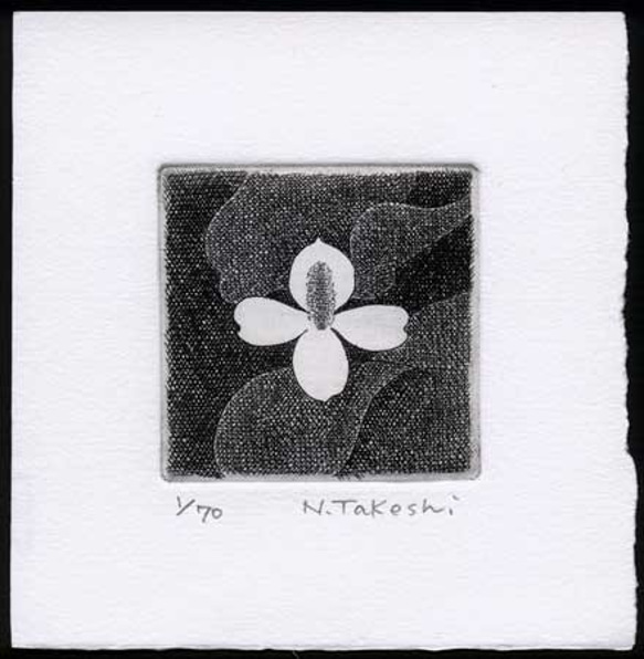 白い花・2018A/ 銅版画 (額あり） 3枚目の画像