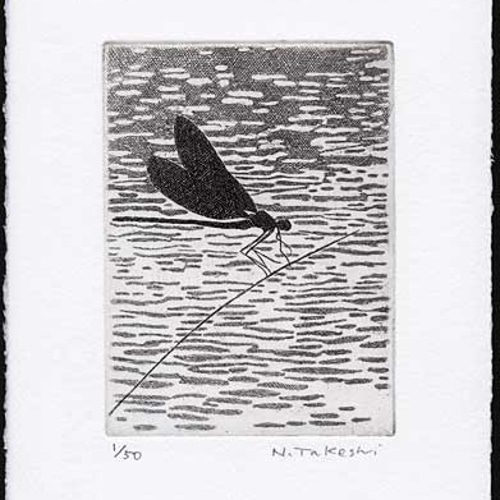 とんぼ・2018B / 銅版画（作品のみ） 版画 Atelie Gray 通販