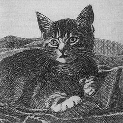 布の上の子猫/ 銅版画 (作品のみ） 2枚目の画像