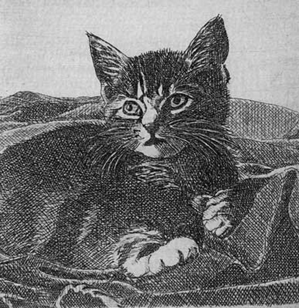 布の上の子猫/ 銅版画 (額あり） 4枚目の画像