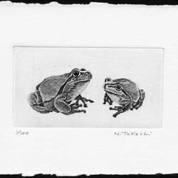 二匹の蛙/ 銅版画（作品のみ） 1枚目の画像