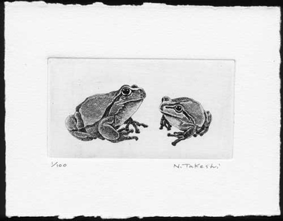 二匹の蛙/ 銅版画（作品のみ） 1枚目の画像
