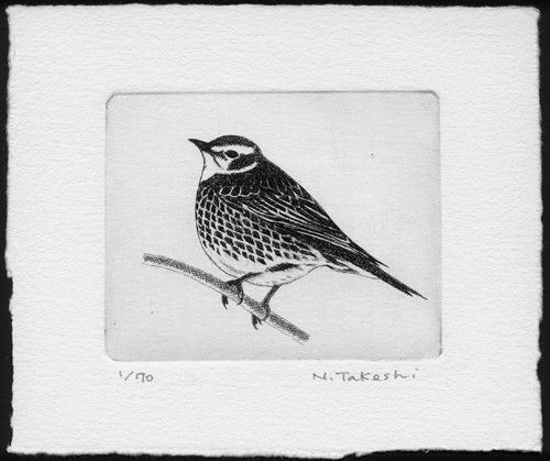 版画　鳥　とり2　コーロー
