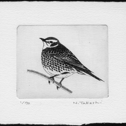 版画　エッチング　ナチュラル 鳥 絵画 銅版画 エッチング アクアチント 朝日みお 「仲良しの私